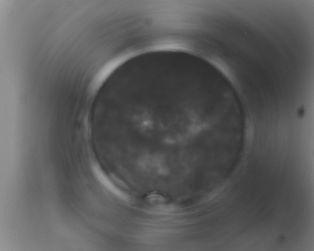 X0000113941468200910161903