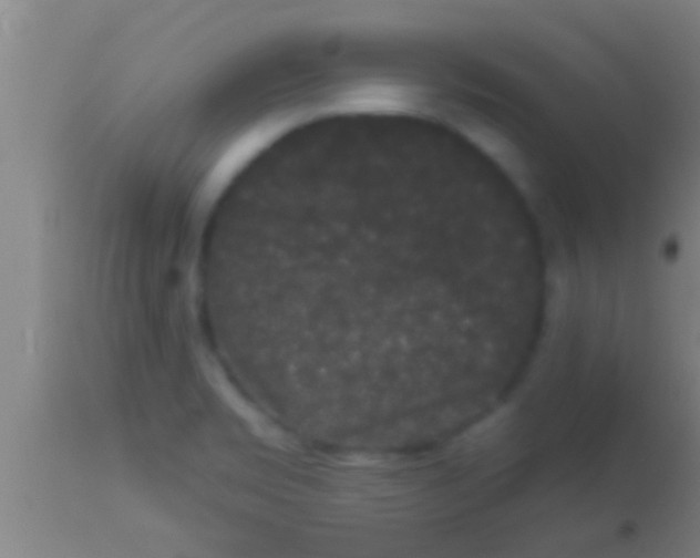 X0000113941469200910161903