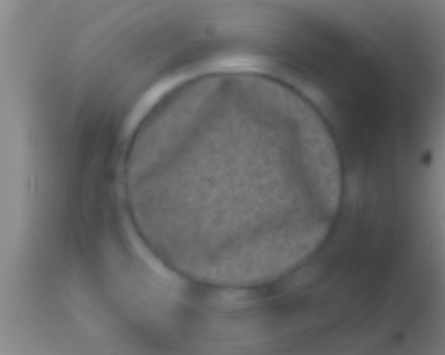 X0000113941470200910161903