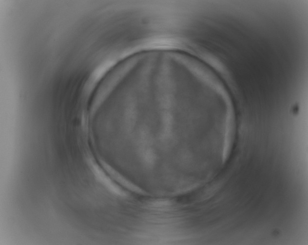 X0000113941472200910161903