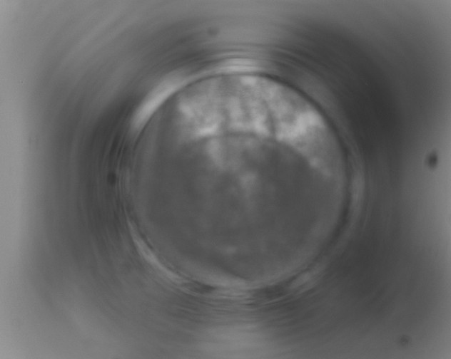 X0000113941473200910161903