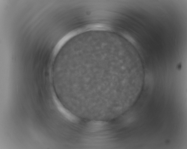 X0000113941474200910161903