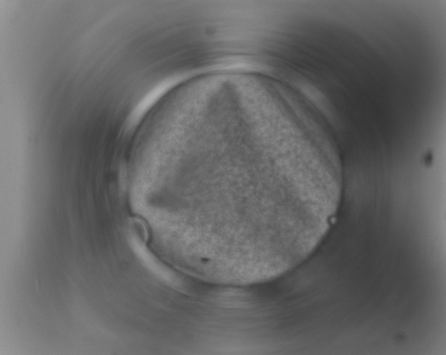 X0000113941476200910161903