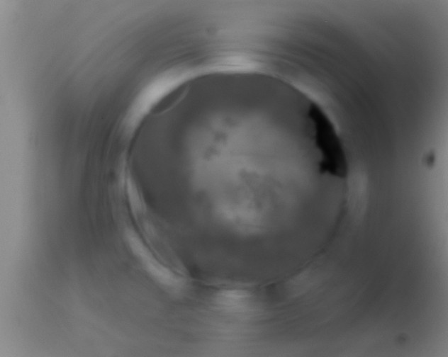 X0000113941477200910161903