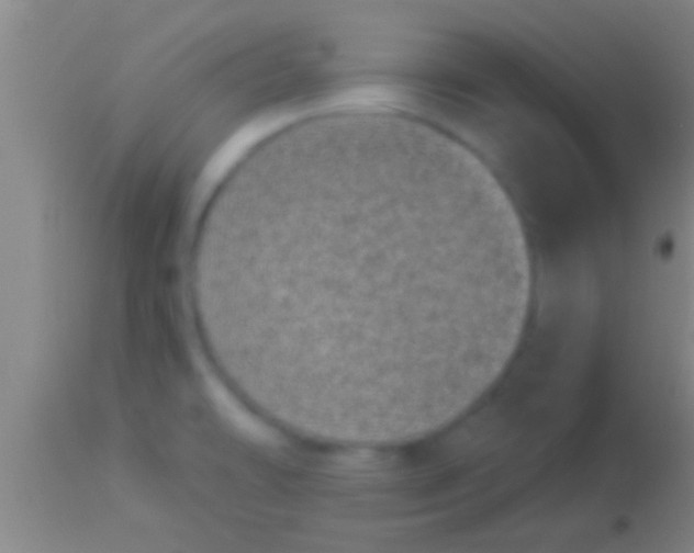 X0000113941478200910161903