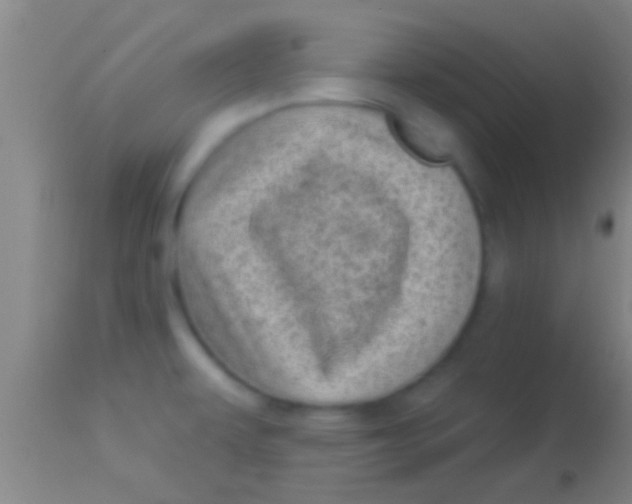 X0000113941479200910161903