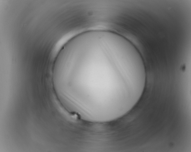 X0000113941480200910161903