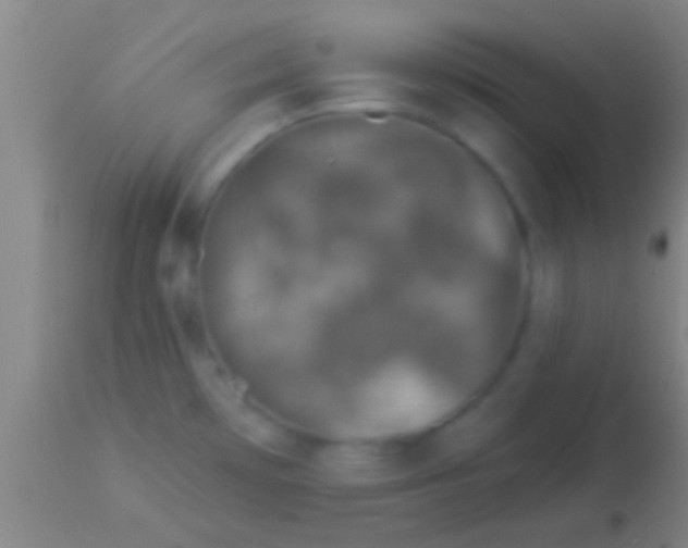 X0000113941481200910161903