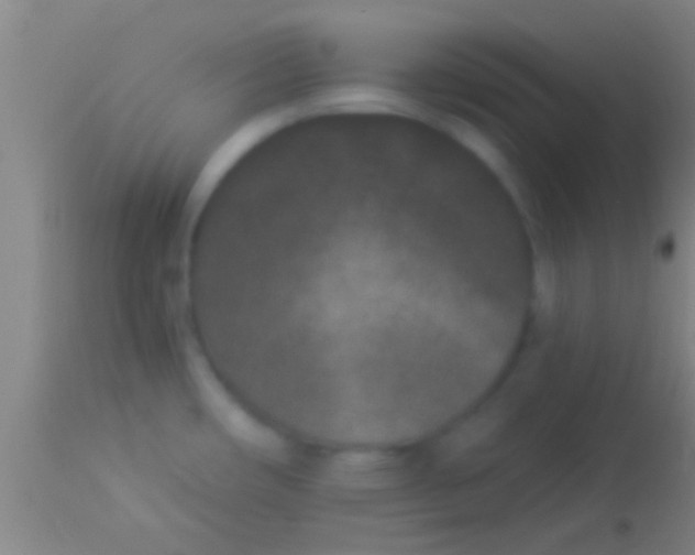 X0000113941482200910161903