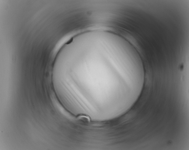 X0000113941484200910161903