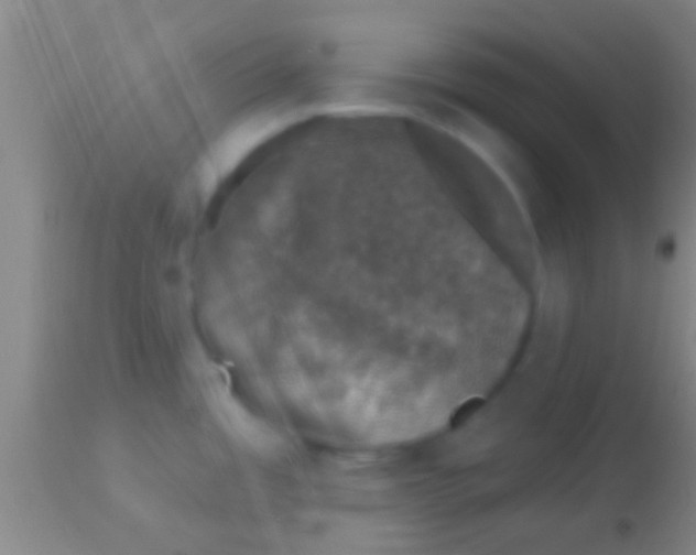 X0000113941485200910161903