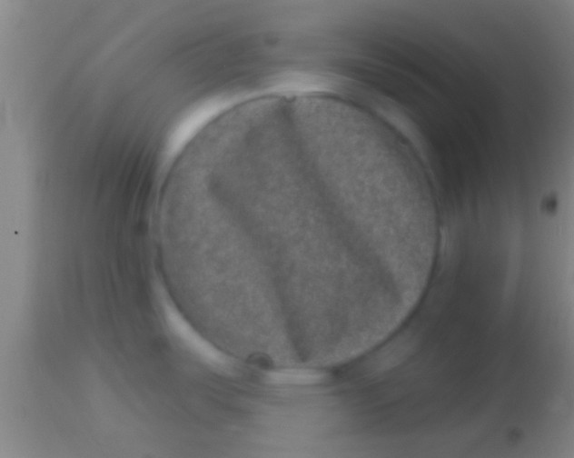 X0000113941487200910161903