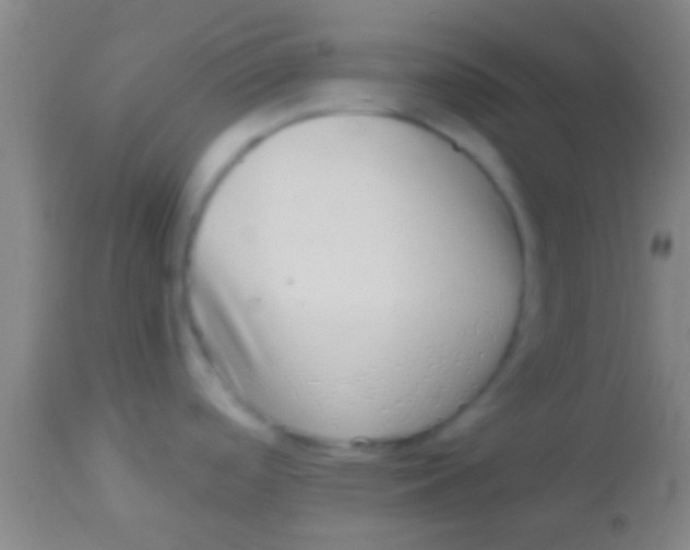 X0000113941488200910161903