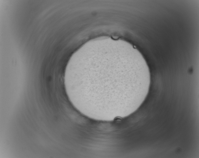 X0000113941489200910161902