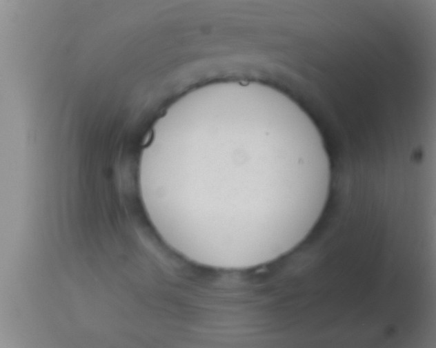 X0000113941490200910161902