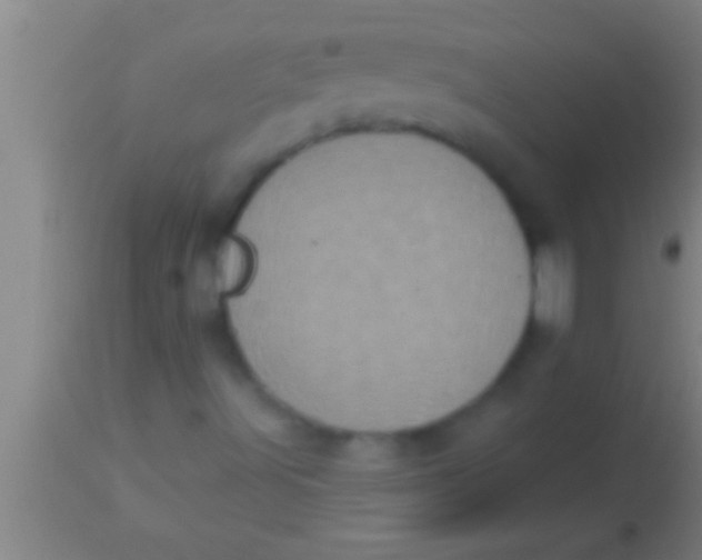 X0000113941491200910161902