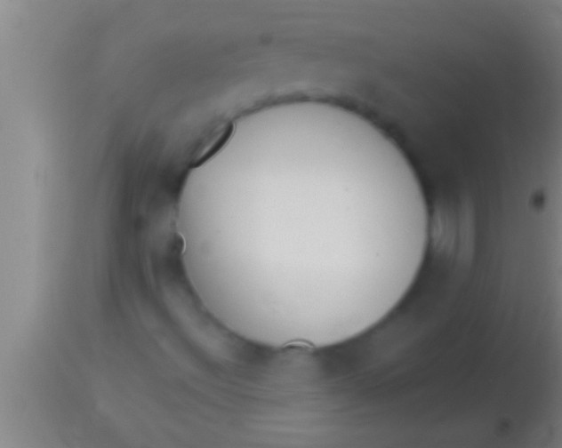 X0000113941492200910161902