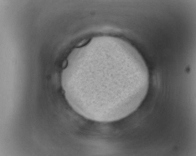 X0000113941493200910161902