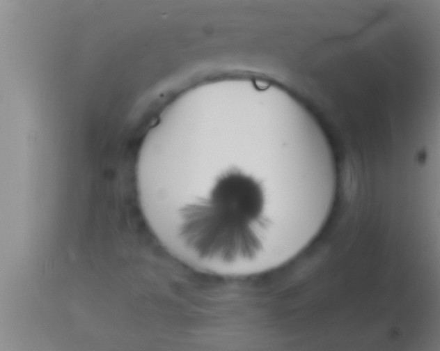 X0000113941494200910161902