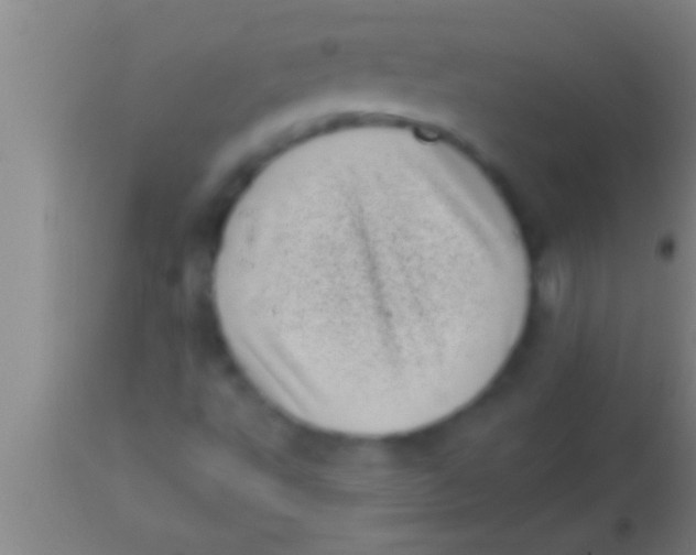 X0000113941495200910161902