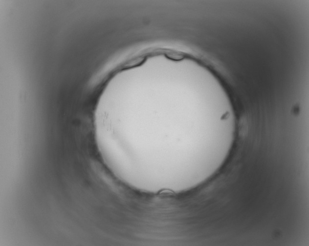 X0000113941496200910161902