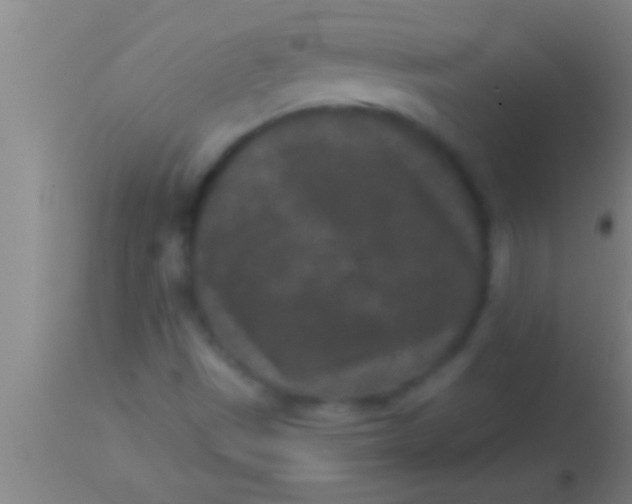 X0000113941497200910161902