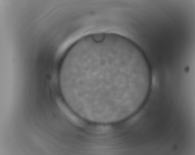 X0000113941498200910161902