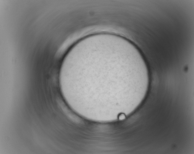 X0000113941499200910161902