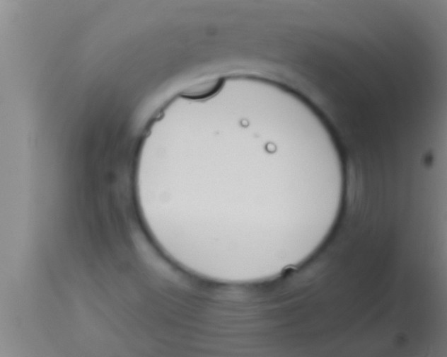 X0000113941500200910161902