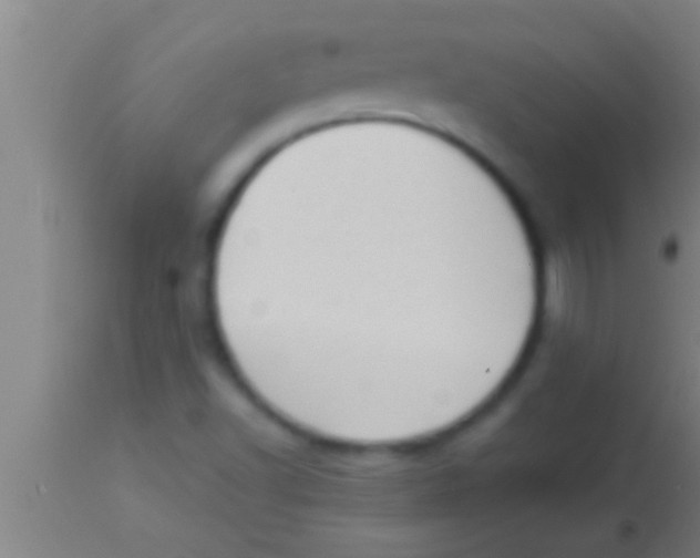 X0000113941502200910161903