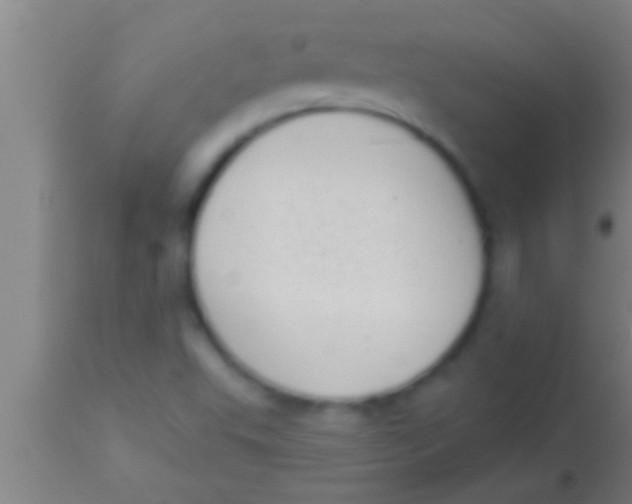 X0000113941503200910161903