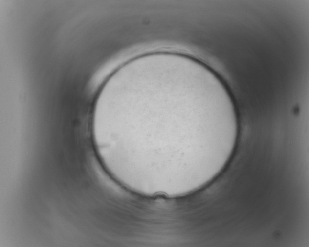 X0000113941504200910161903