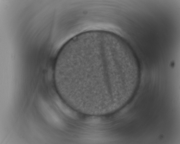 X0000113941505200910161903