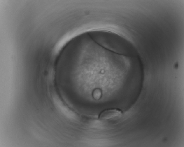 X0000113941506200910161903