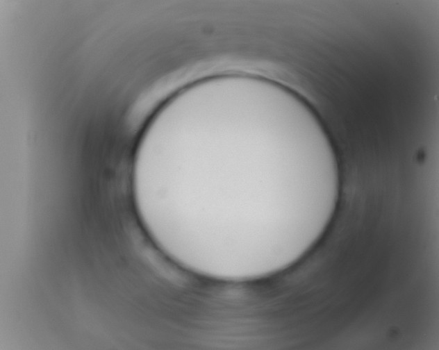 X0000113941507200910161903