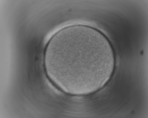 X0000113941508200910161903