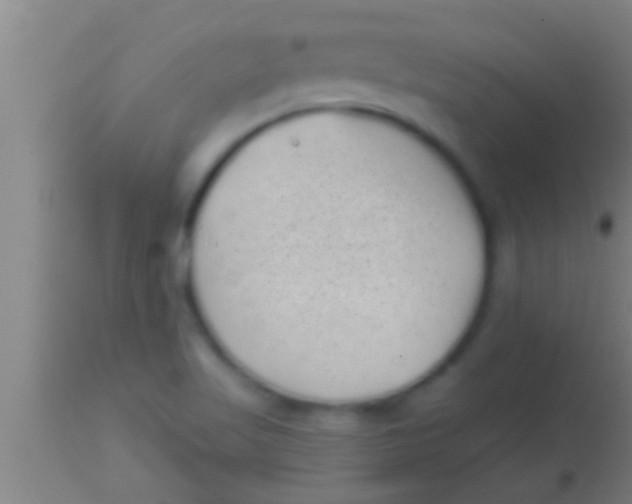 X0000113941509200910161903