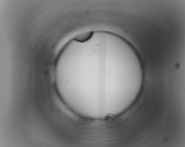 X0000113941510200910161903