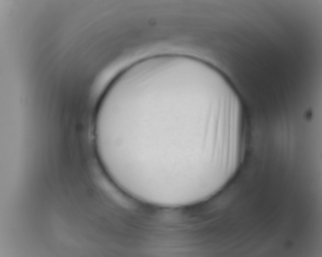 X0000113941511200910161903