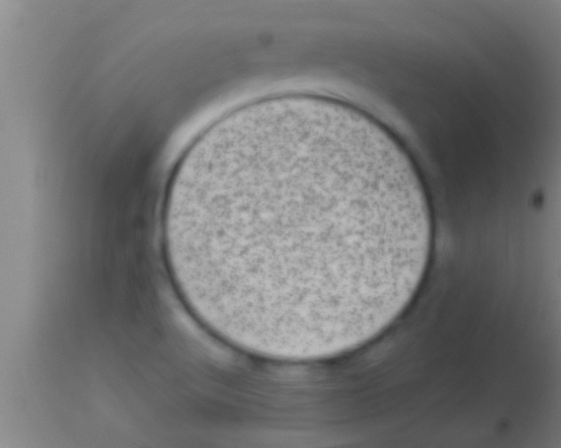 X0000113941512200910161903