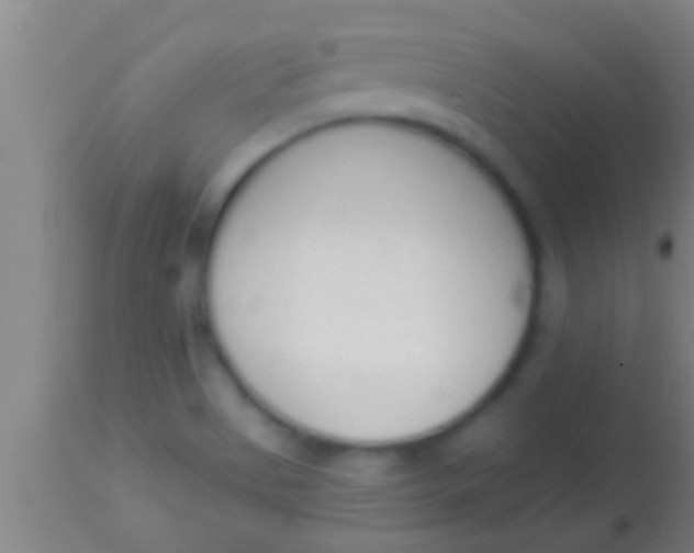 X0000113941513200910161903