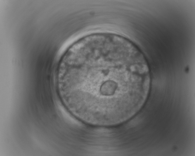 X0000113941514200910161903