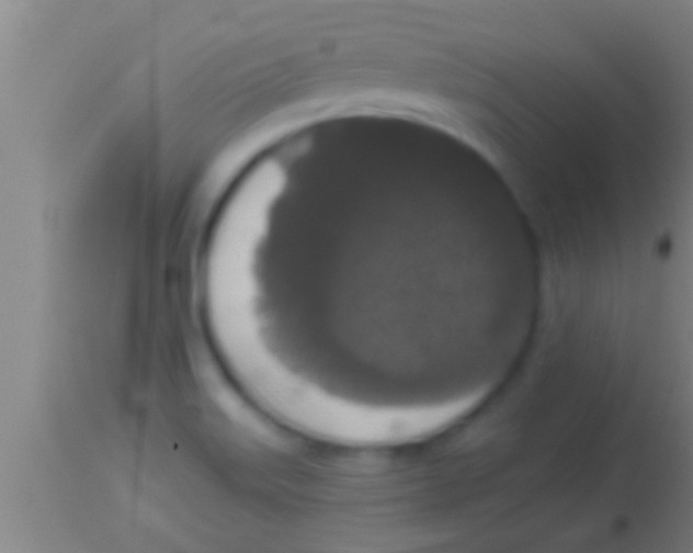 X0000113941515200910161903