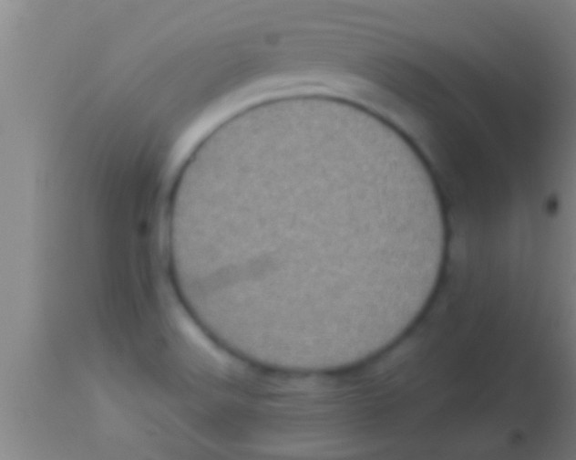 X0000113941516200910161903