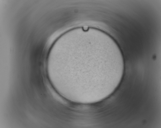 X0000113941517200910161903