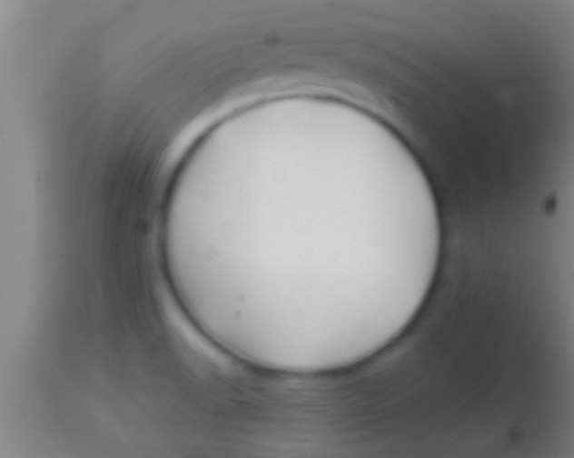 X0000113941518200910161903