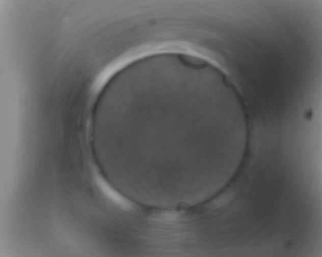 X0000113941519200910161903