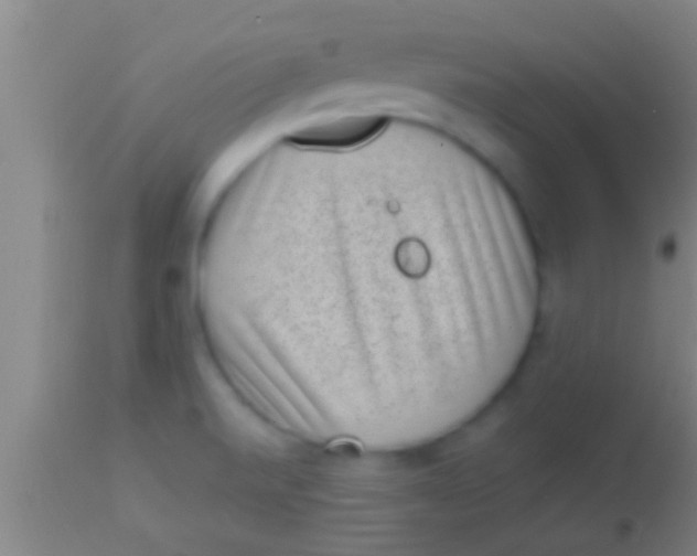 X0000113941520200910161903