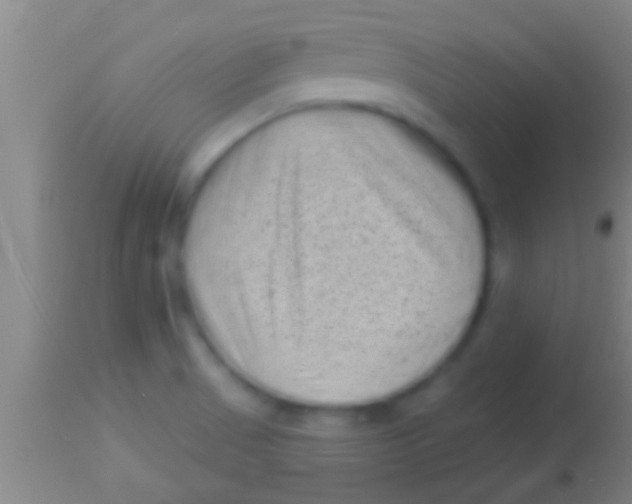 X0000113941521200910161903