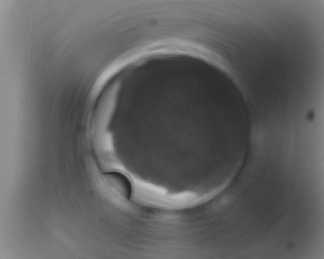 X0000113941522200910161903